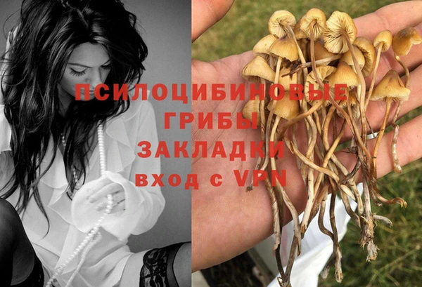 марки lsd Аркадак