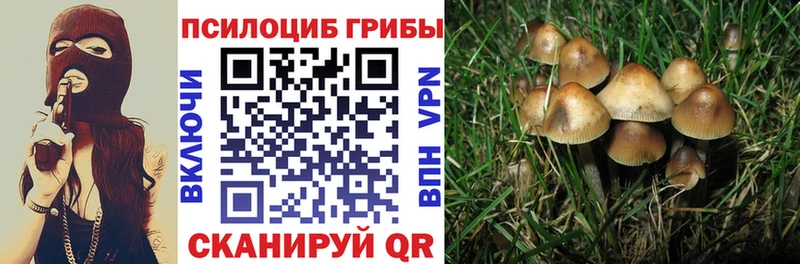 Галлюциногенные грибы мухоморы  Бирюч 
